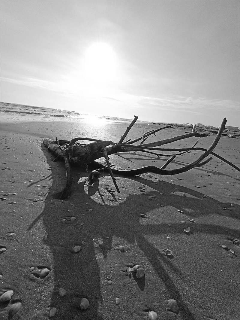 Hotel Arlecchino Milano Marittima