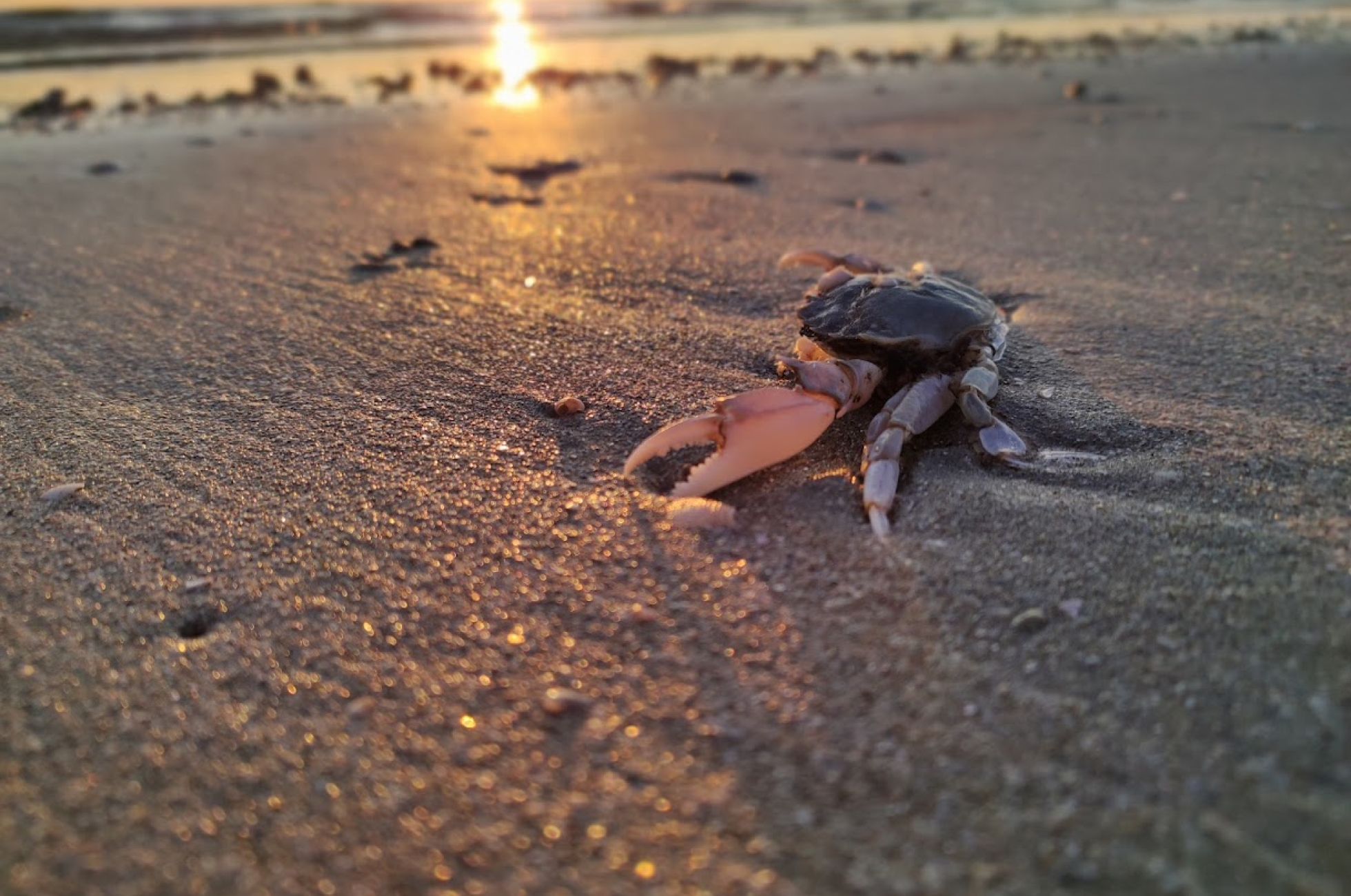  Offerta Ponte 2 giugno Hotel Arlecchino Milano Marittima